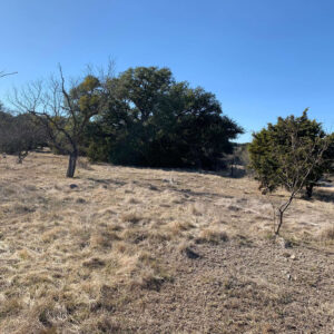 Ranch Property for Sale in Texas Kruse Ranches Triple Threat Ranch
