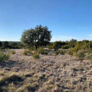 Kruse Texas Ranches For Sale
