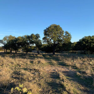 Kruse Texas Ranches For Sale